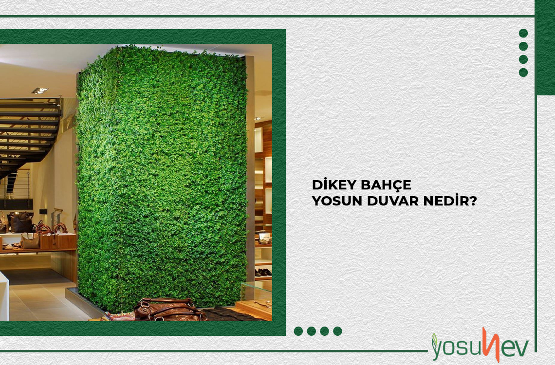 Dikey Bahçe İç Mekan