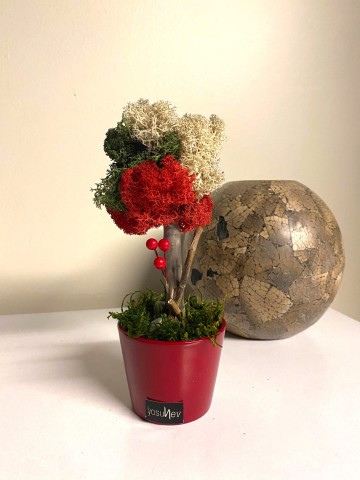 Yapay Masa Çiçekleri