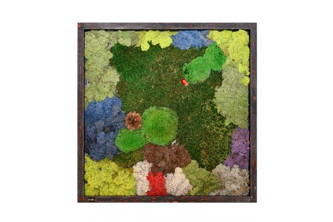 60x60 cm Canlı yosun tablo